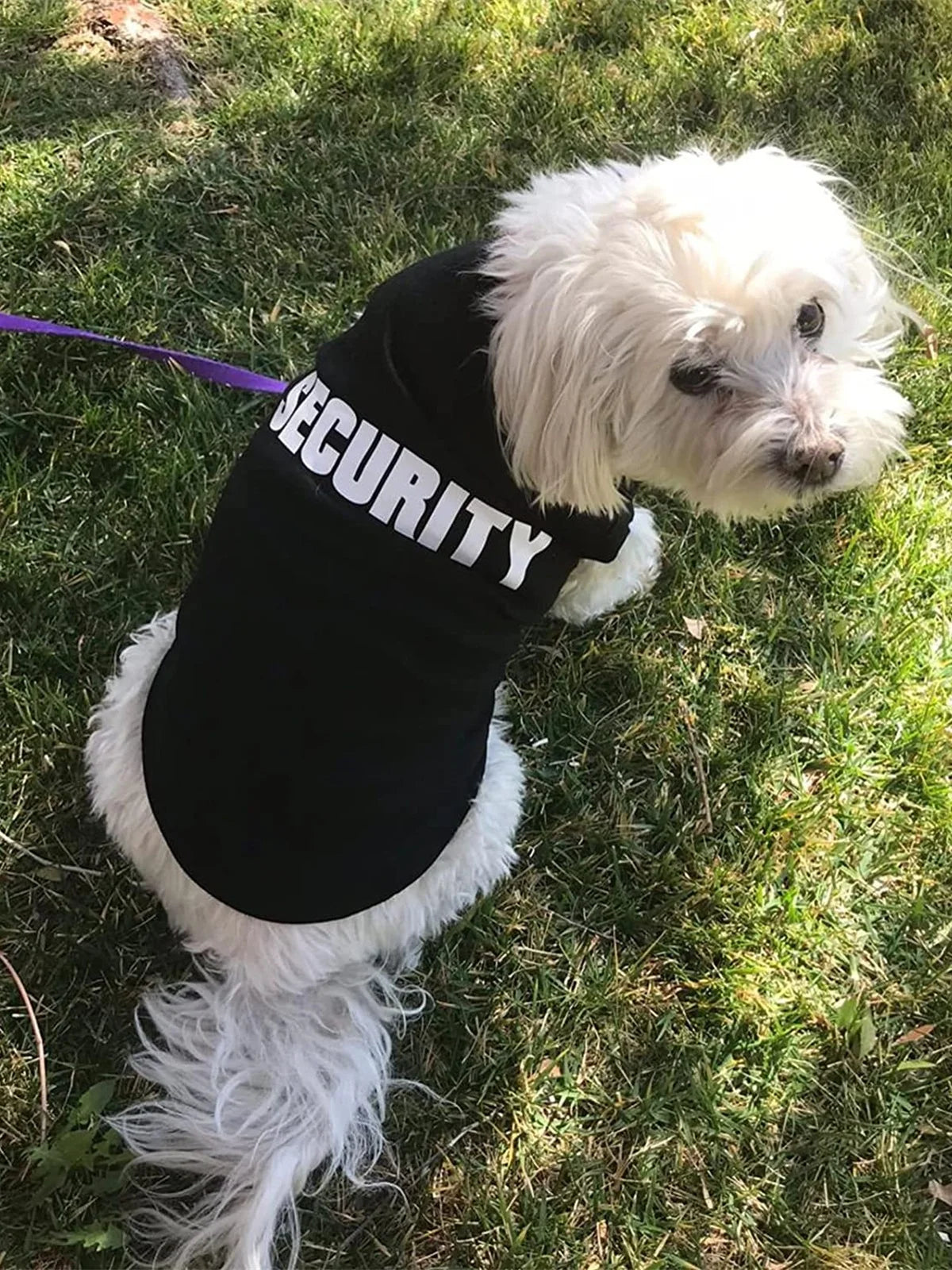 Security Clothing for Dogs Summer Pet Clothes Vest for Small Dogs Chihuahua Yorkshire Puppy Cats Low Price Pets T-shirt Costume