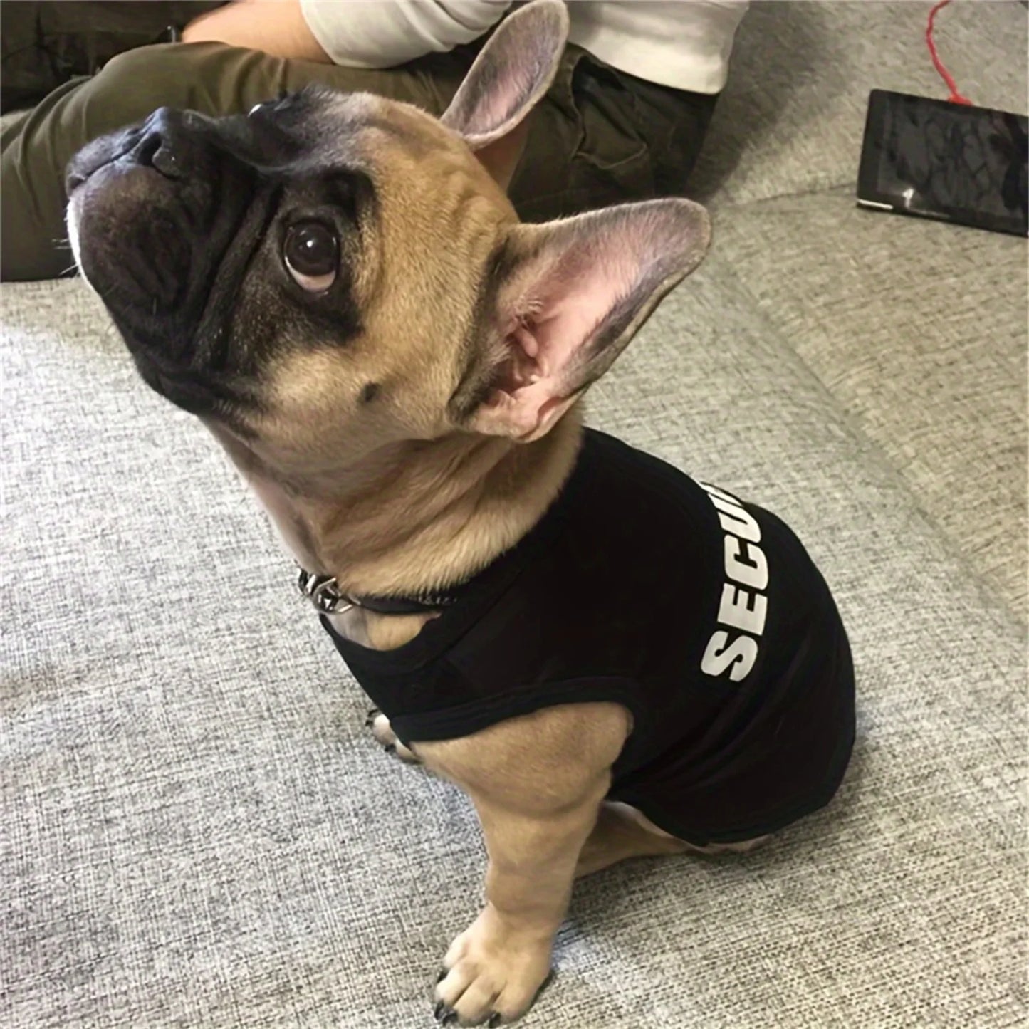 Security Clothing for Dogs Summer Pet Clothes Vest for Small Dogs Chihuahua Yorkshire Puppy Cats Low Price Pets T-shirt Costume